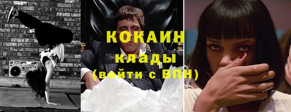 трава Белокуриха