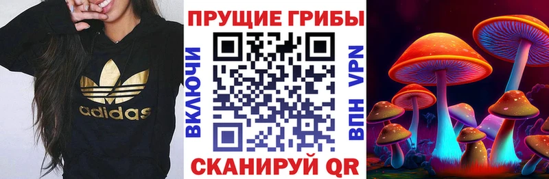 кракен сайт  магазин    Казань  Псилоцибиновые грибы мухоморы 